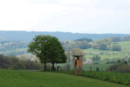 Wohnung Nümbrecht - 1 Zimmer, 17 m&sup2;, 350&euro; | Angebot:25136978