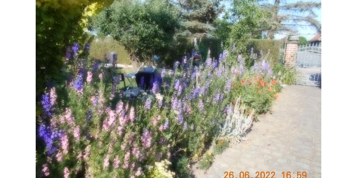 Dachgeschoßwohnung Ballenstedt - 2 Zimmer, 60 m&sup2;, 55&euro; | Angebot:18964502