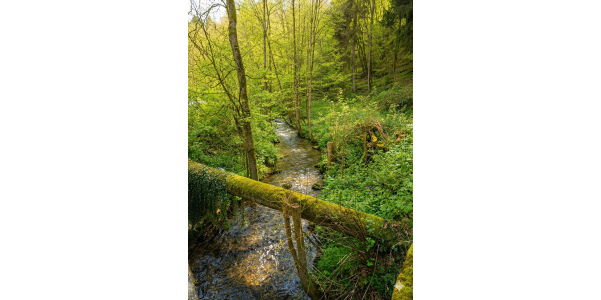 Gewerbeobjekt Wald-Michelbach Michelbach - 1.750&euro; | Angebot:25105055