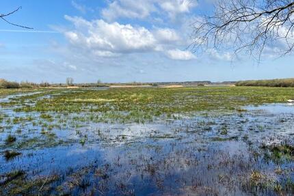 Traumhafte Maisonette-Wohnung am idyllischen Steinhuder Meer 4 zimmer