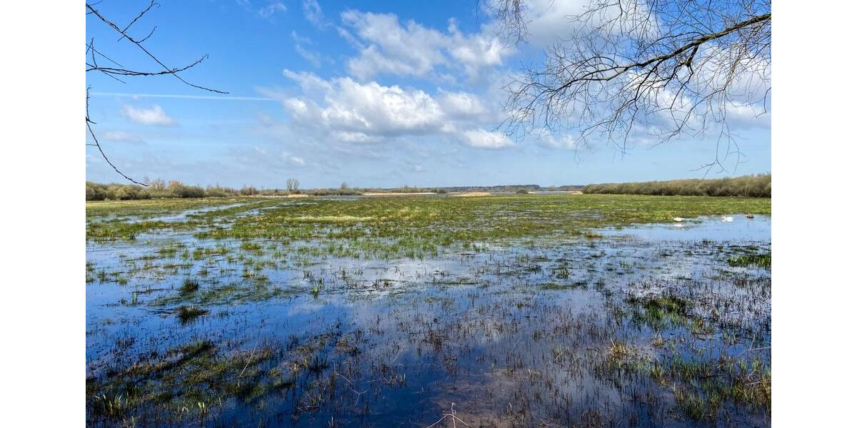 Traumhafte Maisonette-Wohnung am idyllischen Steinhuder Meer 4 zimmer