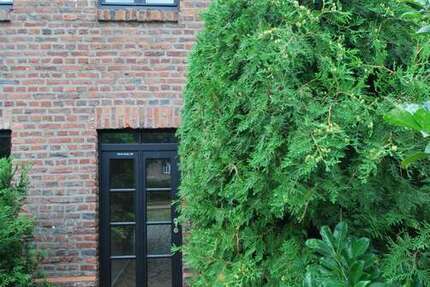Wohnung Köln Rodenkirchen - 1 Zimmer, 65 m&sup2;, 825&euro; | Angebot:26999910