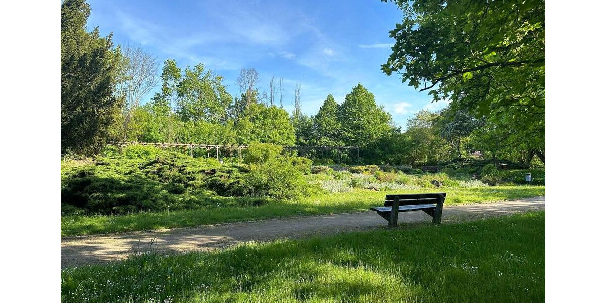 Etagenwohnung Naumburg (Saale) - 1 Zimmer, 41 m&sup2;, 550&euro; | Angebot:23246256