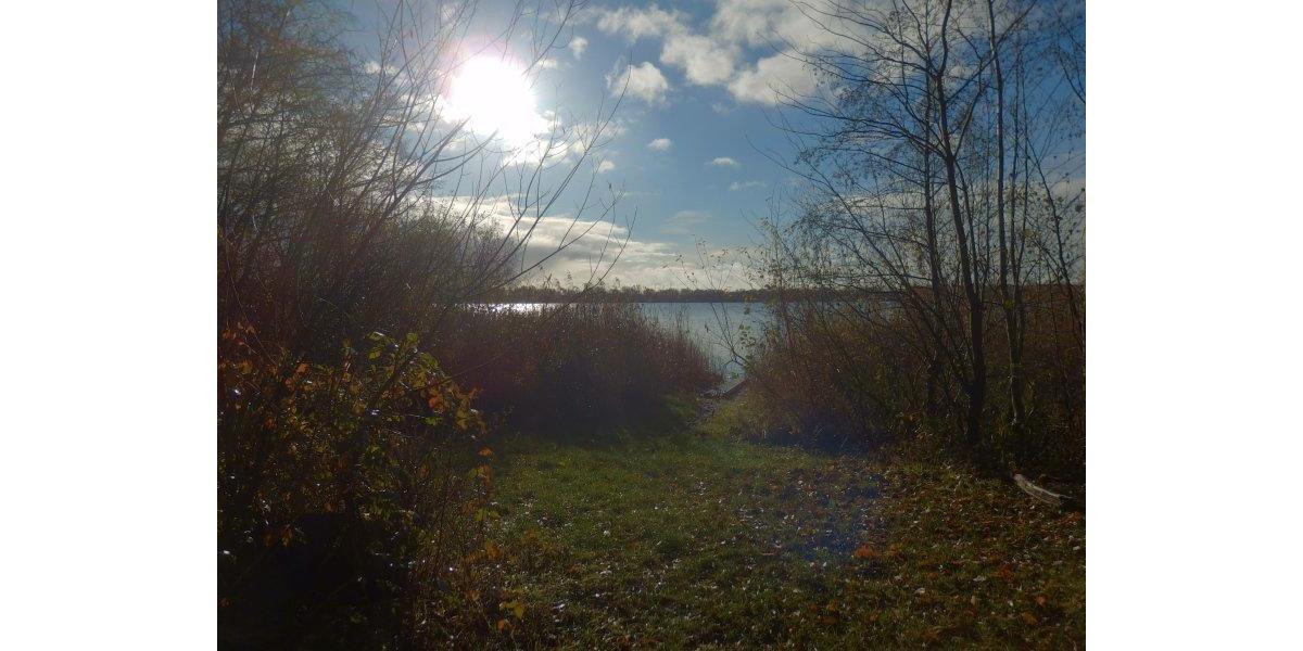 Erdgeschoßwohnung Neustadt-Glewe Glewe - 4 Zimmer, 88 m&sup2;, 676&euro; | Angebot:26023792