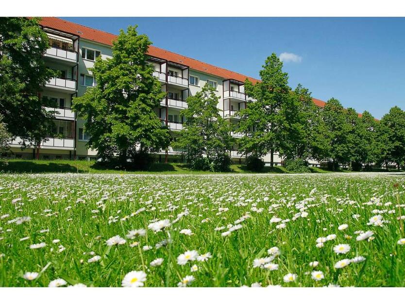 Sanierte 3 Raum Wohnung mit Balkon in Parknähe!