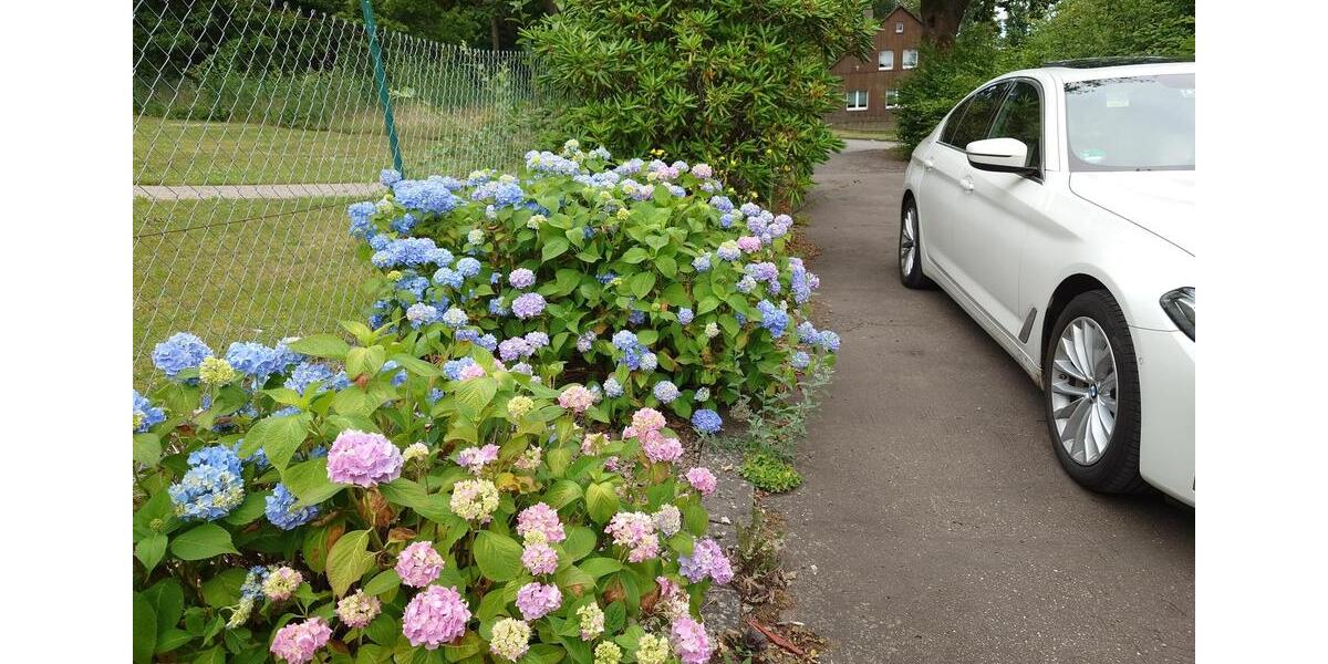 Etagenwohnung Holzminden - 2 Zimmer, 55 m&sup2;, 400&euro; | Angebot:26086561