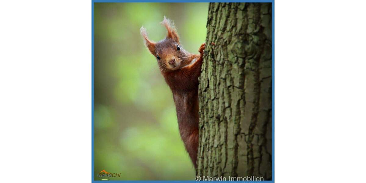 Etagenwohnung Peffingen - 8 Zimmer, 200 m&sup2;, 200&euro; | Angebot:25769954