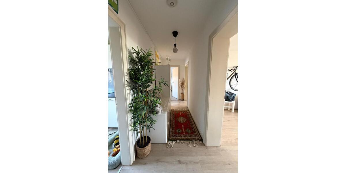 Etagenwohnung Kassel - 3 Zimmer, 70 m&sup2;, 850&euro; | Angebot:25255561