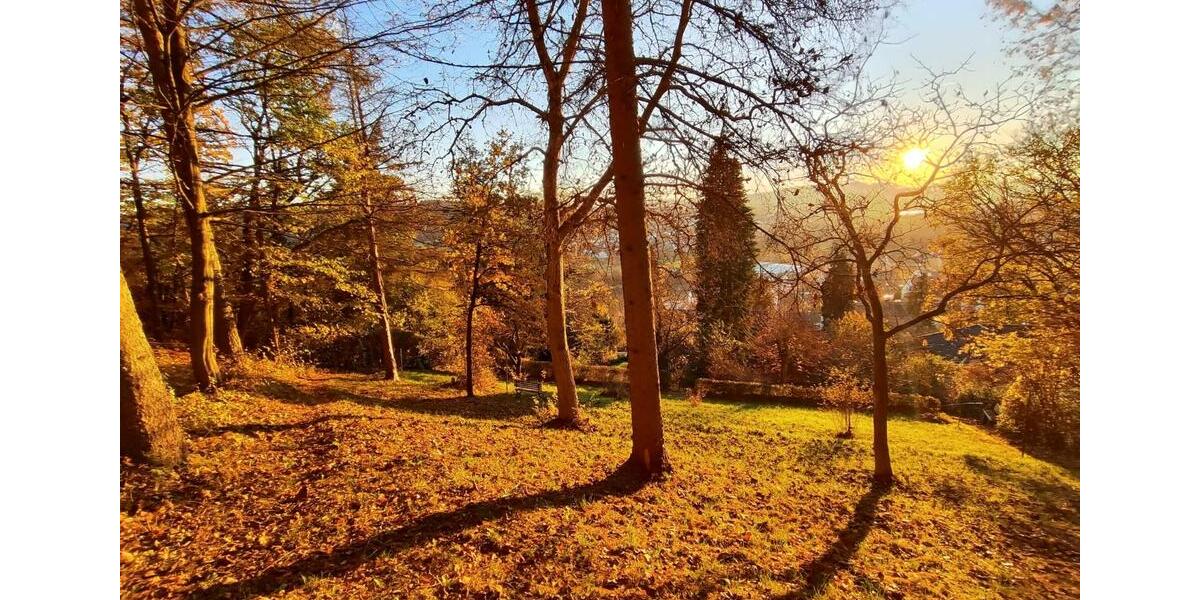 Dachgeschoßwohnung Rödental - 2 Zimmer, 45 m&sup2;, 400&euro; | Angebot:24842946