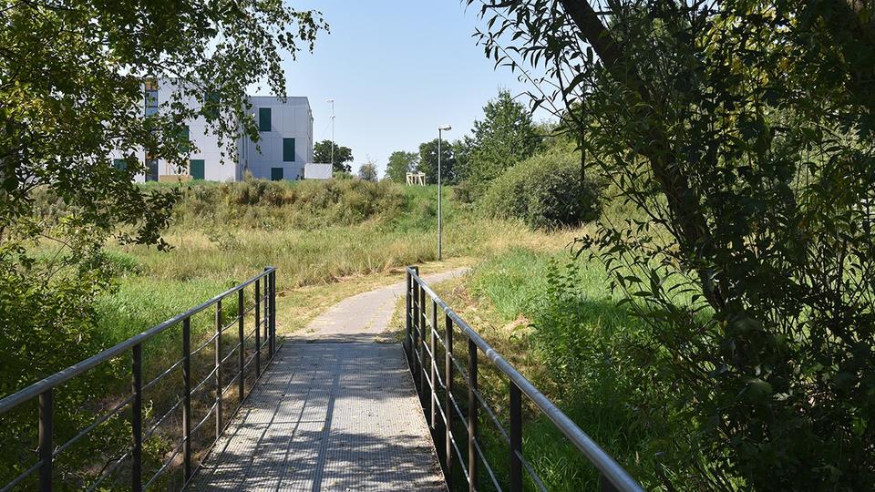 Etagenwohnung Heide - 1 Zimmer, 21 m&sup2;, 449&euro; | Angebot:26030830