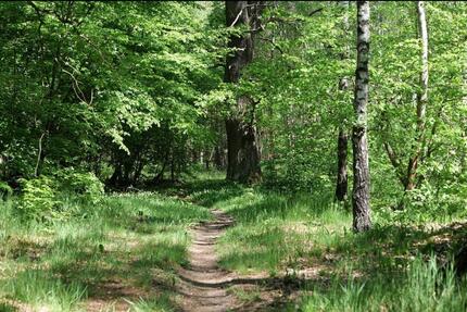2-Zimmer-Dachgeschosswohnung in Finkenkrug 2 zimmer