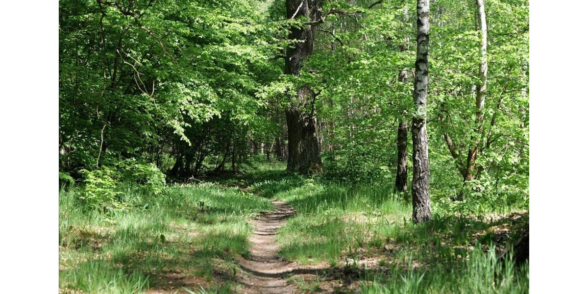 2-Zimmer-Dachgeschosswohnung in Finkenkrug 2 zimmer