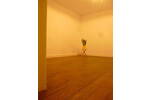Etagenwohnung Oppenheim - 2 Zimmer, 61 m&sup2;, 720&euro; | Angebot:26833486