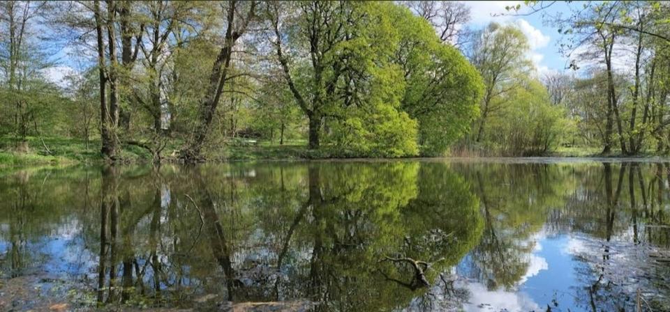 Wohnen auf Zeit Sanitz - 1 Zimmer, 12 m&sup2;, 50&euro; | Angebot:25921178