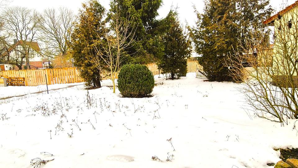 Erdgeschoßwohnung Wallhausen - 3 Zimmer, 95 m&sup2;, 450&euro; | Angebot:24801420