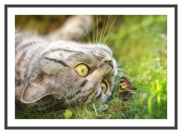 Etagenwohnung Berlin Wilmersdorf - 3 Zimmer, 105 m&sup2;, 1.416&euro; | Angebot:26189555