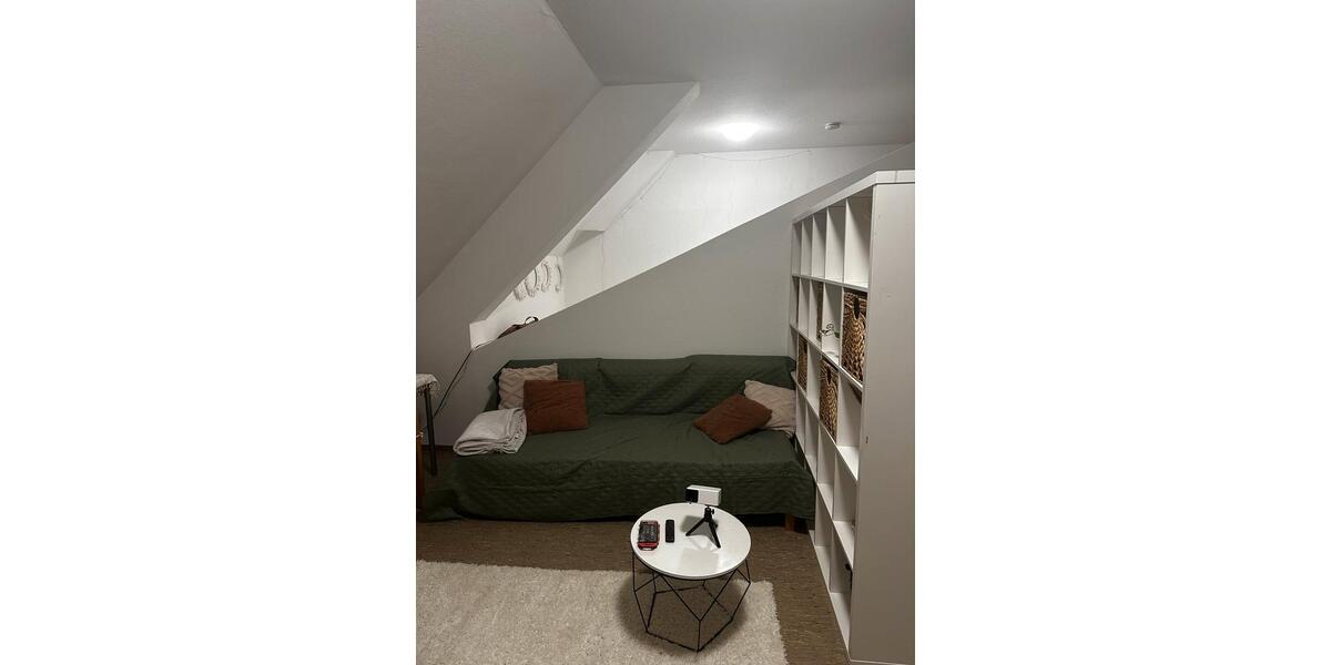Wohnen auf Zeit Mannheim Neckarstadt-Ost - 1.5 Zimmer, 20 m&sup2;, 510&euro; | Angebot:23318138