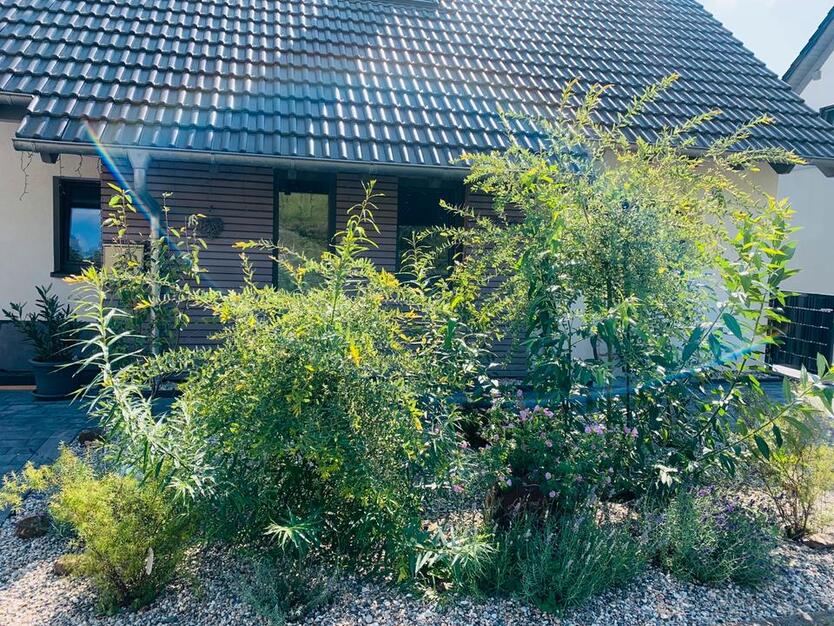 Wohnen auf Zeit - Möblierte helle Wohnung!