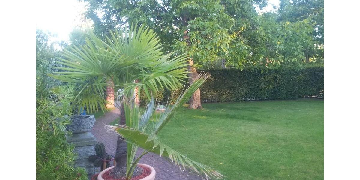 Maisonettenwohnung Woltersdorf - 3.5 Zimmer, 114 m&sup2;, 1.500&euro; | Angebot:26498646