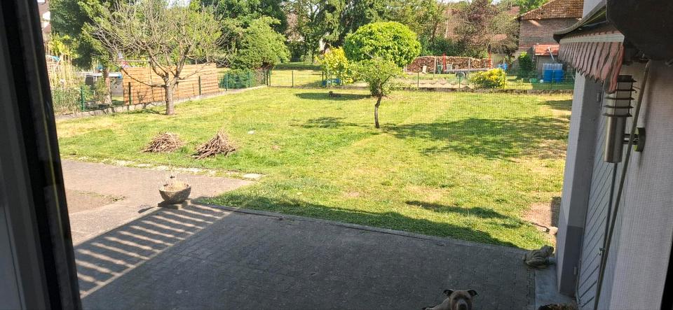 Erdgeschoßwohnung Kehl - 3 Zimmer, 94 m&sup2;, 1.000&euro; | Angebot:25083215