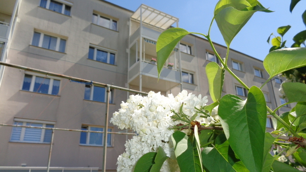 3-Raum-Wohnung mit Balkon und traumhaften Ausblick