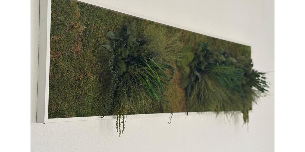 Zwischenmiete: Stilvolle möblierte Wohnung für 4 Wochen in Köln 2 zimmer