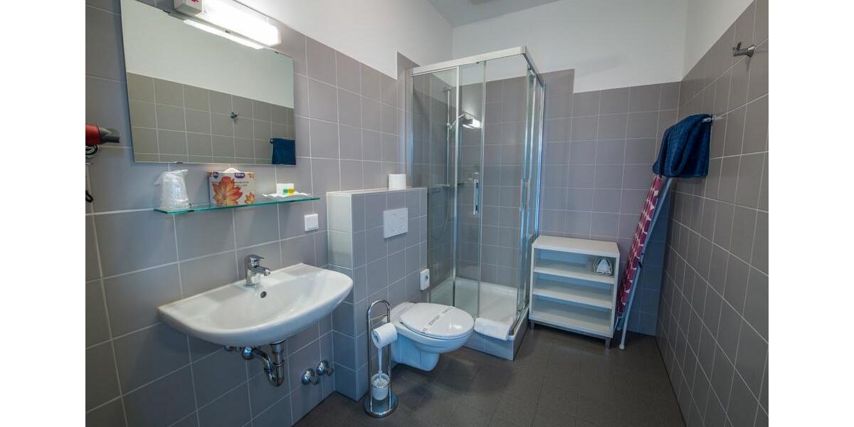 Wohnen auf Zeit Koblenz - 1 Zimmer, 25 m&sup2;, 990&euro; | Angebot:14022295