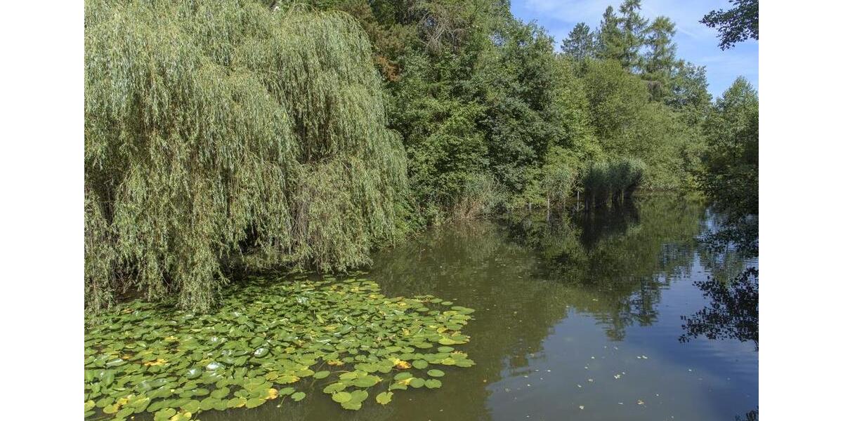 Erdgeschoßwohnung Siegen Dillnhütten - 3 Zimmer, 58 m&sup2;, 329&euro; | Angebot:26008896