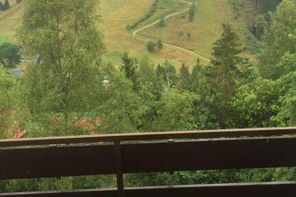 geräumige 1,5 Zimmerwohnung mit Balkon 1 zimmer