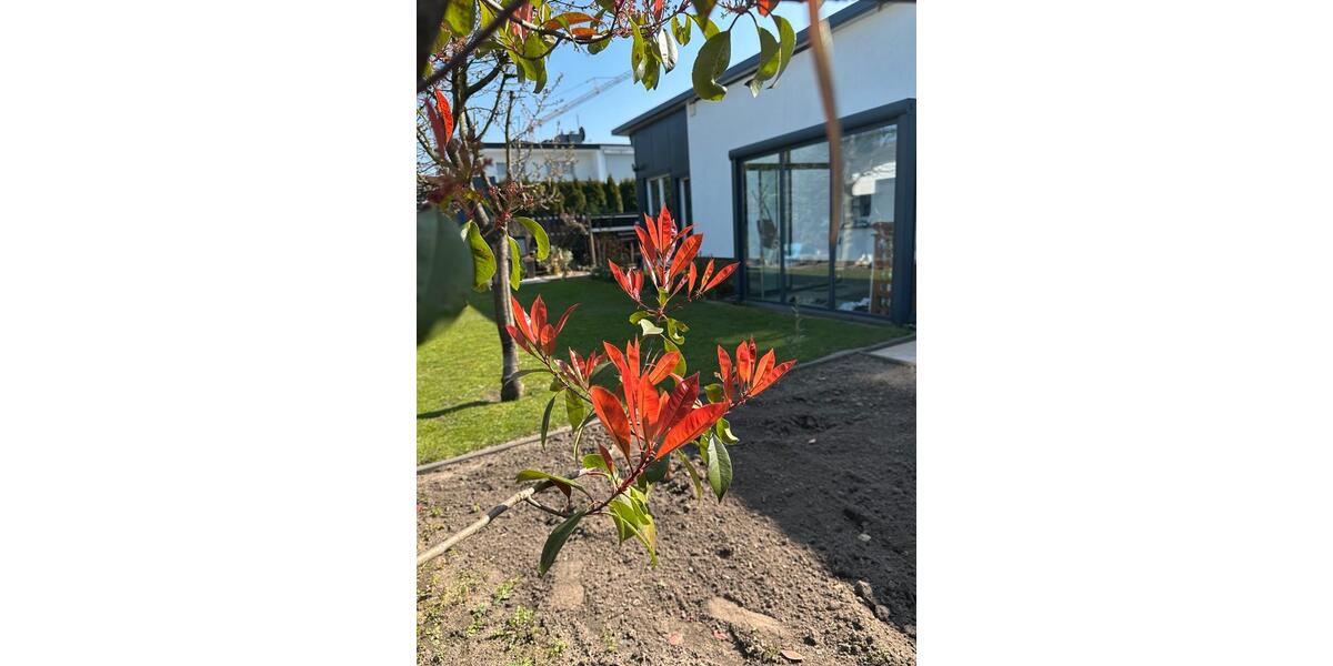 Bungalow Duisburg Hochheide - 3 Zimmer, 106 m&sup2;, 1.600&euro; | Angebot:25396682