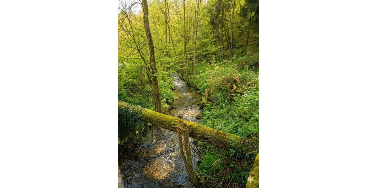Gewerbeobjekt Wald-Michelbach Michelbach - 3.384&euro; | Angebot:25655599