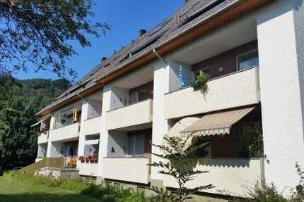 Wohnung Trier Ehrang - 2 Zimmer, 61 m&sup2;, 495&euro; | Angebot:25111914