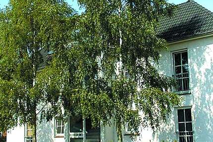 Wohnung Elmshorn Hainholz - 1 Zimmer, 28 m&sup2;, 340&euro; | Angebot:27184631