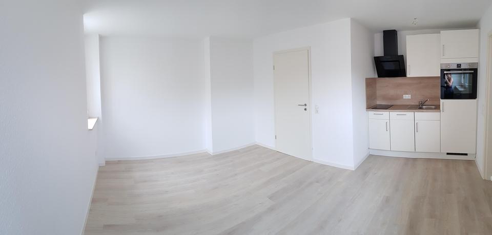 Dachgeschoßwohnung Nackenheim - 2 Zimmer, 30 m&sup2;, 590&euro; | Angebot:25784267