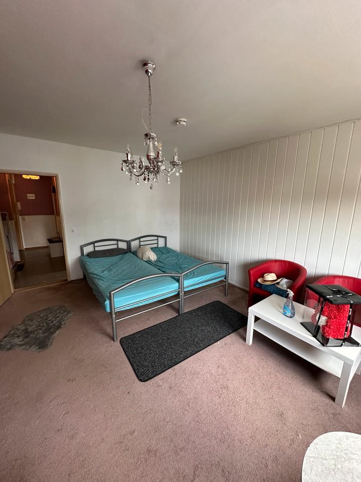 Sonnige 1-Zimmer Wohnung in zentraler Lage v. Salzgitter-Bad