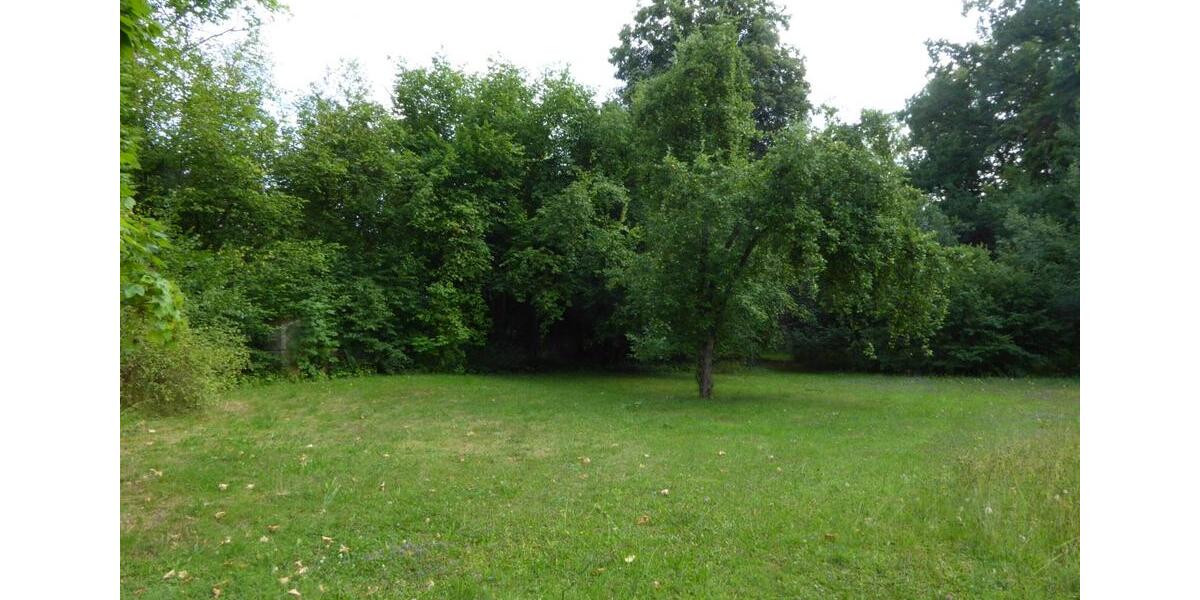 Wohnen auf Zeit Bayreuth Altstadt - 1 Zimmer, 35 m&sup2;, 440&euro; | Angebot:25640847