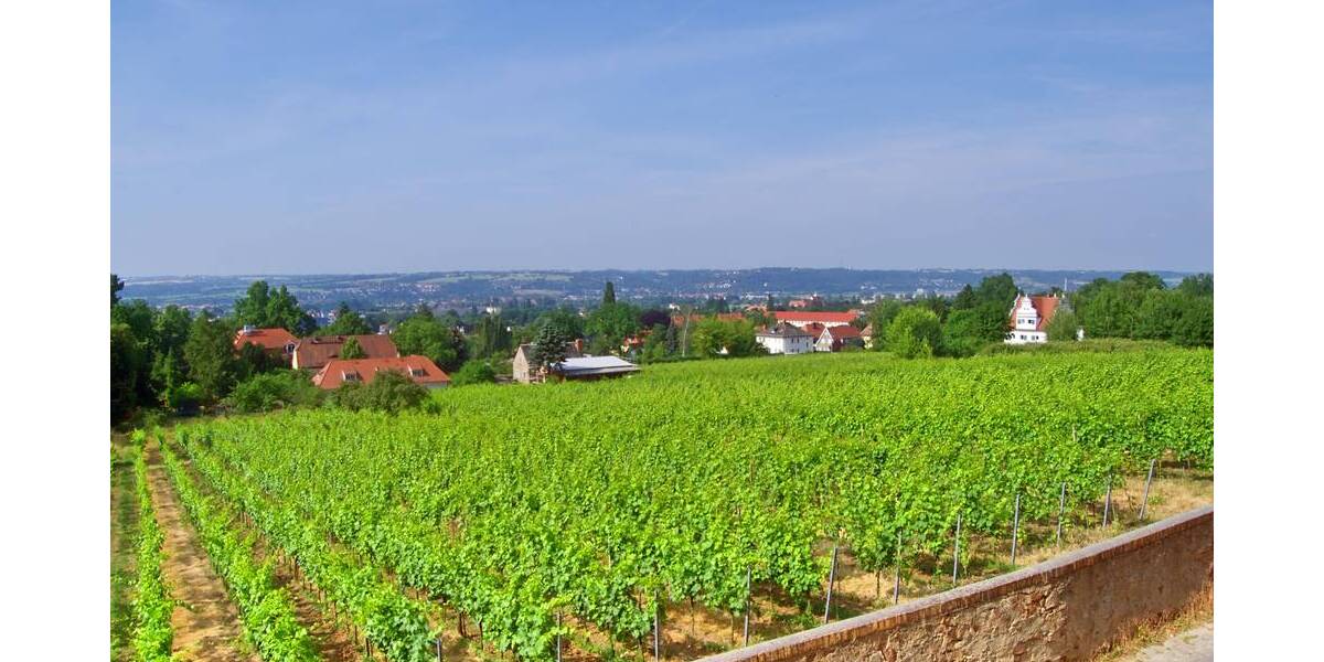 Etagenwohnung Radebeul Oberlößnitz - 3 Zimmer, 151 m&sup2;, 1.850&euro; | Angebot:22340032