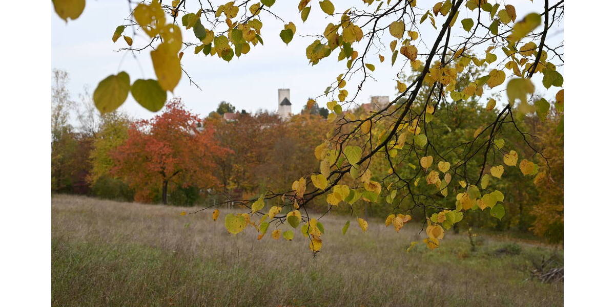 Etagenwohnung Burglengenfeld Wölland - 2 Zimmer, 75 m&sup2;, 930&euro; | Angebot:26016169