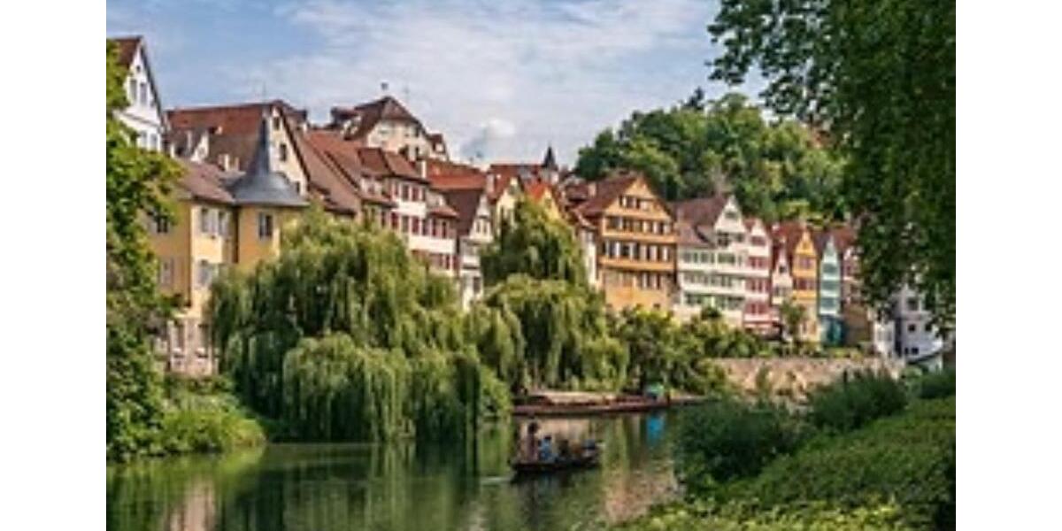 Wohnen auf Zeit Tübingen Lustnau - 1 Zimmer, 20 m&sup2;, 730&euro; | Angebot:26652513