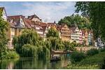 Wohnen auf Zeit Tübingen Lustnau - 1 Zimmer, 20 m&sup2;, 730&euro; | Angebot:26652513