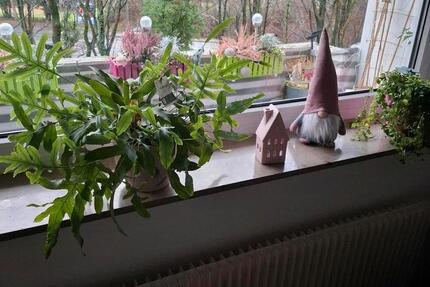 Single Wohnung mit Balkon 1 zimmer