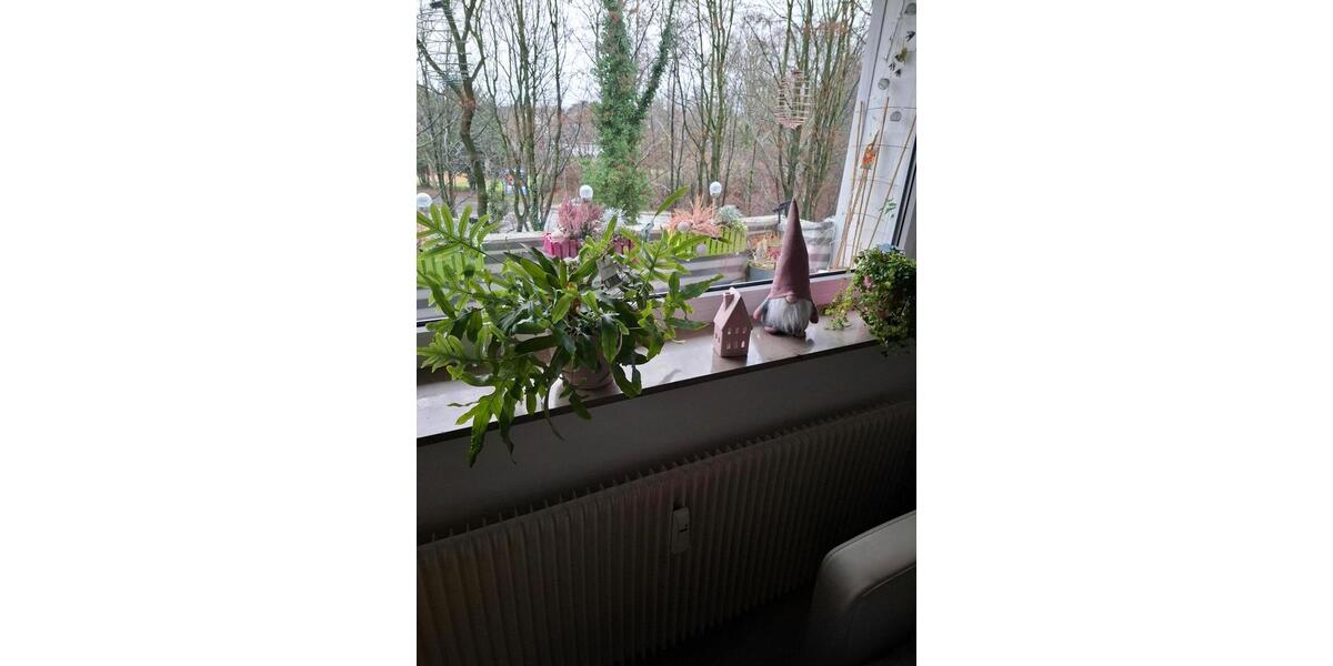 Single Wohnung mit Balkon 1 zimmer