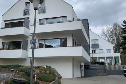 Wohnung Kassel Fasanenhof - 2 Zimmer, 115 m&sup2;, 1.230&euro; | Angebot:25142300