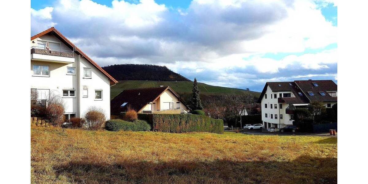 Terrassenwohnung Erlenbach - 2 Zimmer, 60 m&sup2;, 720&euro; | Angebot:26064840