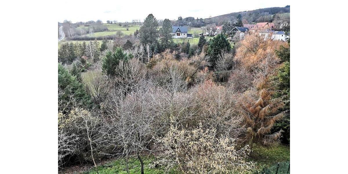 Etagenwohnung Seibersbach - 3 Zimmer, 77 m&sup2;, 695&euro; | Angebot:26007634