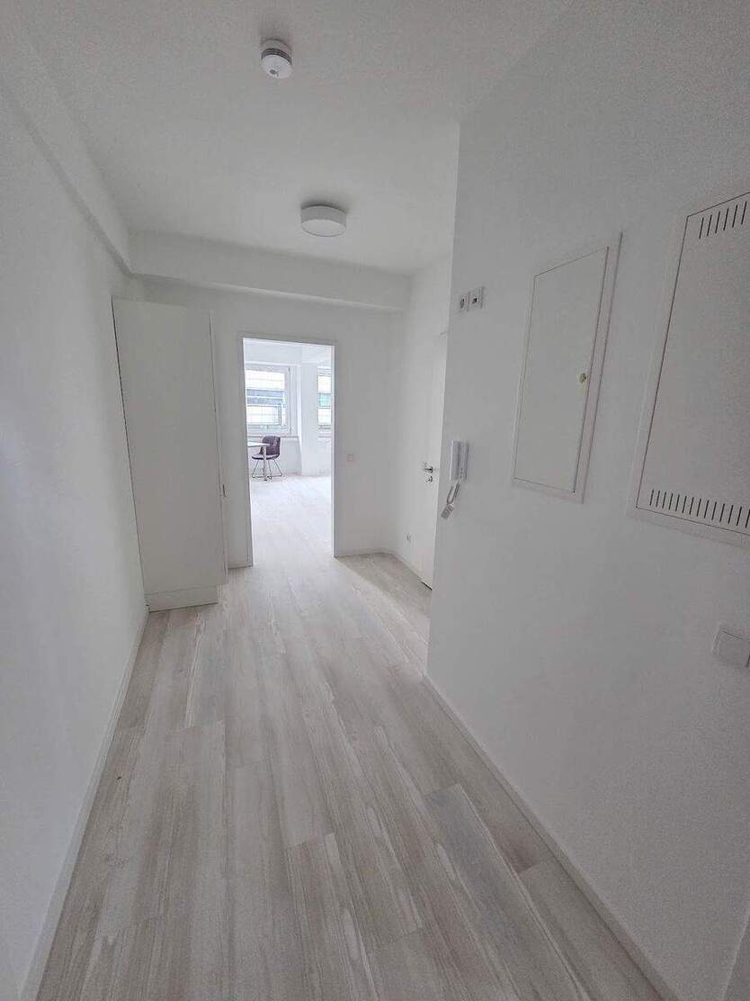 Einziehen und Wohlfühlen: 1 Zimmer-Apartment mit moderner Ausstattung, EBK, Walk-In-Dusche 1 zimmer