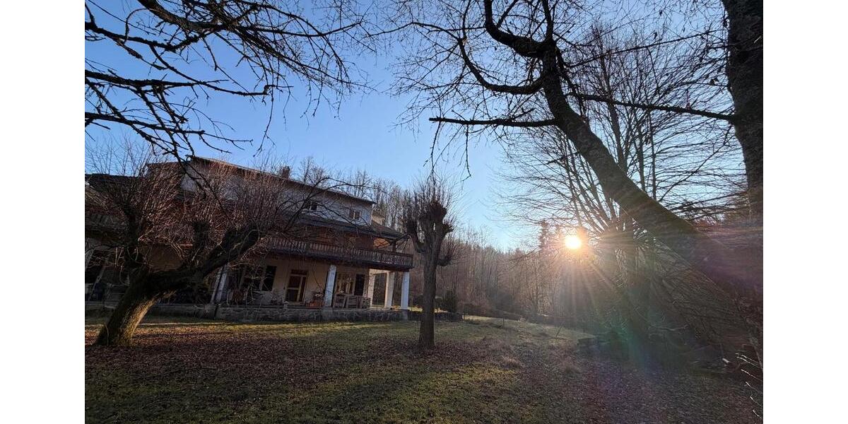 1 Zi, Küche, Bad in Waldhaus in der Natur mit Tieren & Werkstatt 1 zimmer