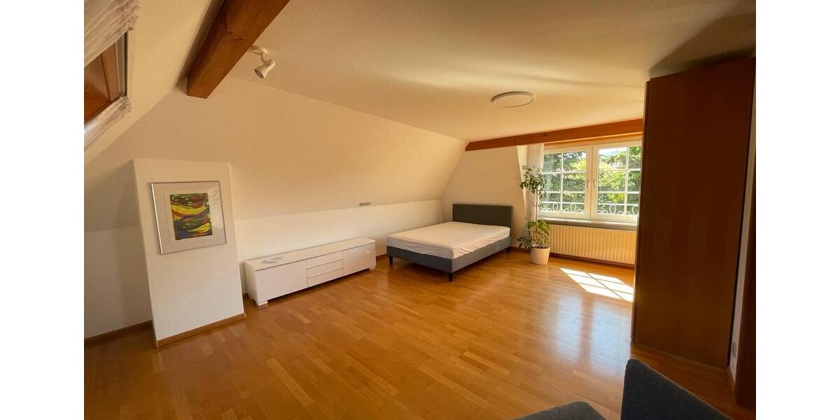 Dachgeschoßwohnung Lahr (Schwarzwald) - 1 Zimmer, 45 m&sup2;, 600&euro; | Angebot:26676243