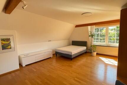 Wohnung Lahr (Schwarzwald) - 1 Zimmer, 45 m&sup2;, 600&euro; | Angebot:26676243