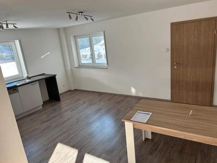 Sonnige 1,5 Zimmer-Wohnung